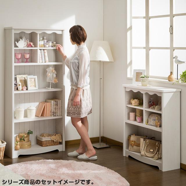 ディスプレイできるフリーラック 魅せる収納棚 デコレーションラック