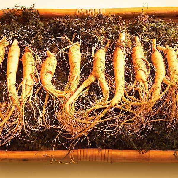 J's Kami高麗 30カプセル 2箱セット 高濃縮 紅参サプリメント 高麗人参