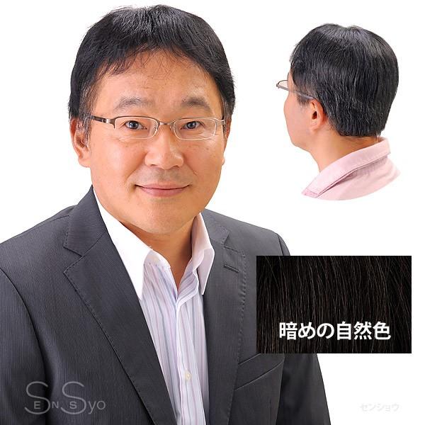 男性用 紳士用ヘアピース 自然な部分かつら 暗め自然色 人工地肌付 HPN-150｜senssyo