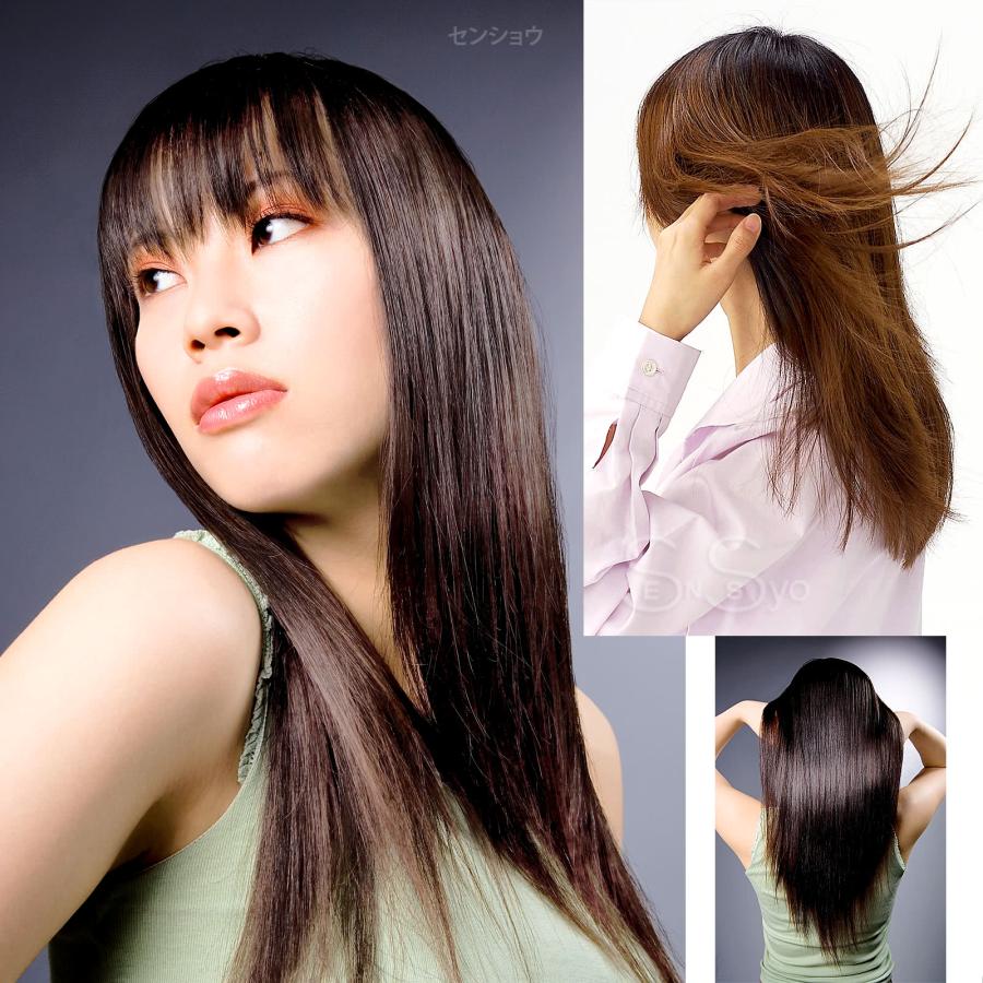 Shinju シンジュ プロ仕様ヘアドライヤー 黒蝶 1200W 軽量310g Shinju シンジュ プロ仕様ヘアドライヤー 黒蝶 1200W 軽量310g