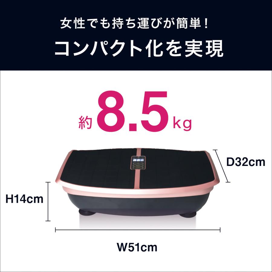ハイブリッドコア Hybrid Core EMS 振動ボード 体幹トレーニング ハイブリッドコア Hybrid Core EMS 振動ボード 体幹トレーニング