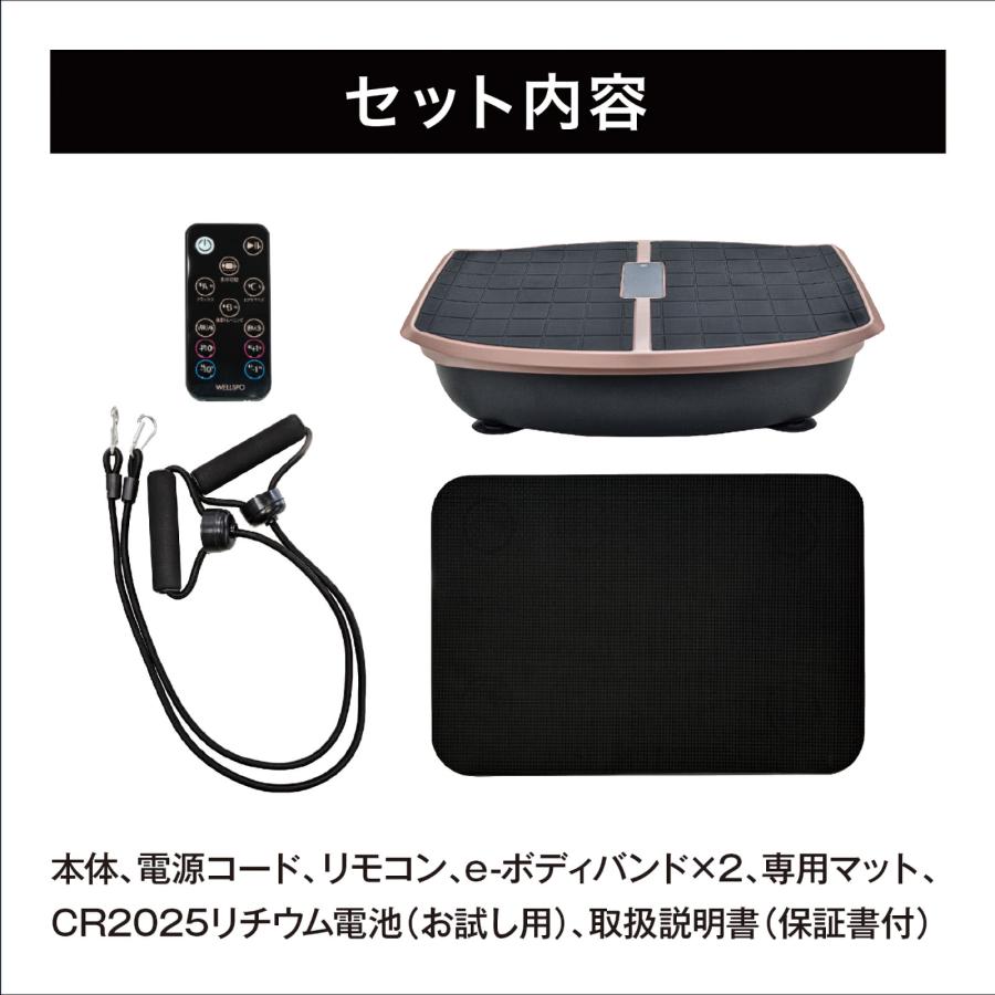 ハイブリッドコア Hybrid Core EMS 振動ボード 体幹トレーニング ハイブリッドコア Hybrid Core EMS 振動ボード 体幹トレーニング