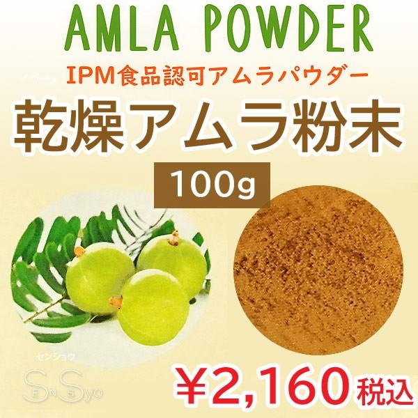 食品認可 IPMアムラパウダー 100g ビタミンC ポリフェノール豊富