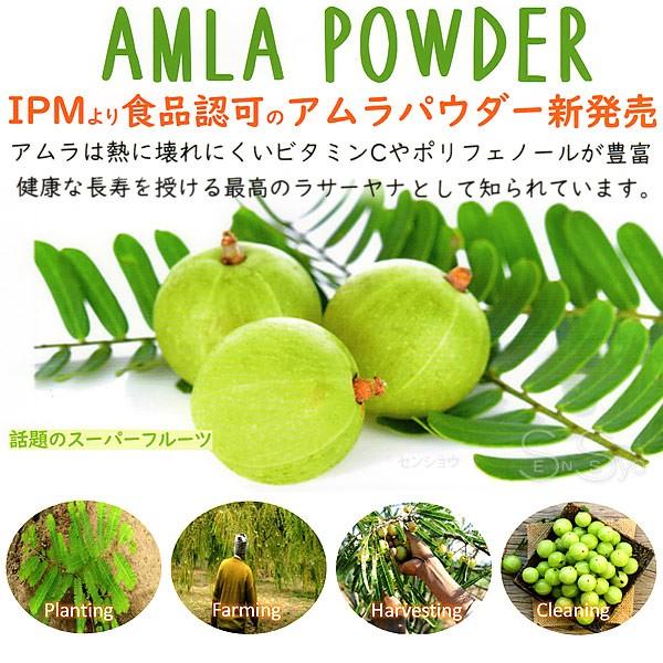 食品認可 IPMアムラパウダー 100g ビタミンC ポリフェノール豊富