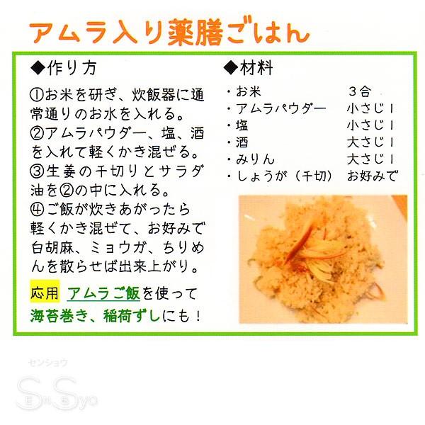 食品認可 IPMアムラパウダー 100g ビタミンC ポリフェノール豊富