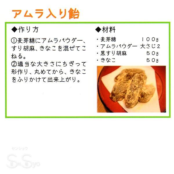 食品認可 IPMアムラパウダー 100g ビタミンC ポリフェノール豊富