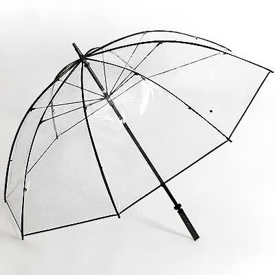 ホワイトローズ テラボゼン 雨傘 特大サイズ 大きいビニール傘 特大