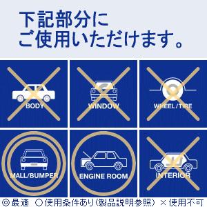 モールコーティング剤【モールクリスタル 4L】バンパーコーティング剤 ガラスコーティング剤【洗車用品】無塗装プラスチック キズ改善 プロ仕様 業務用【車】|sensya|02