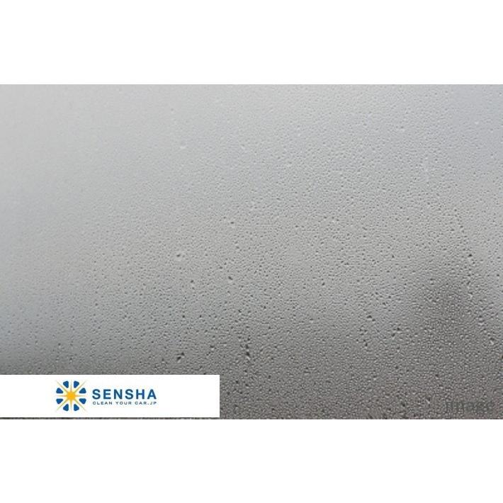 曇り止め ビュークリア 18l フロントガラス約9 000枚分 曇り対策 くもり防止 洗車用品 内窓ガラスクリーナー 内窓コート剤 業務用 洗車 コーティング剤 車 8 18 洗車の王国 通販 Yahoo ショッピング