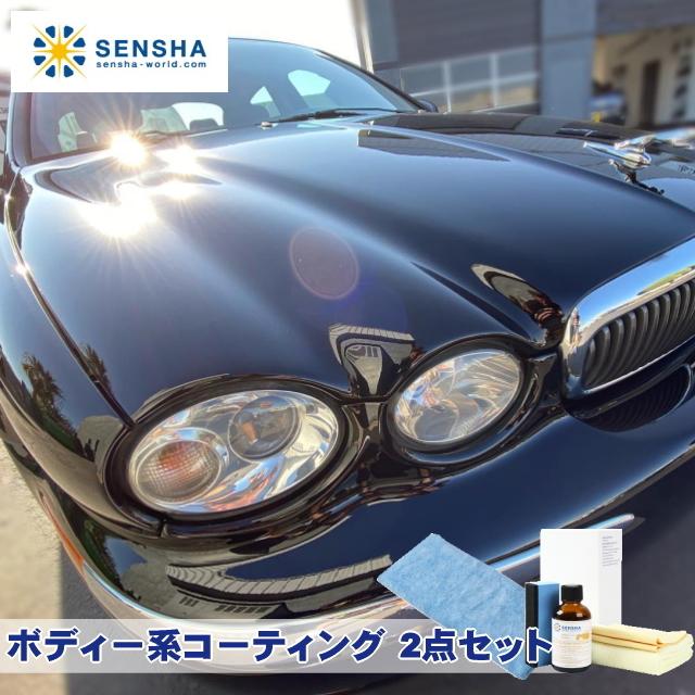 ボディー系コーティング2点セット ガラスコーティング剤 プロ仕様 ガラスコート剤 ガラス系コーティング剤 ガラス系コート剤 洗車用品 9 2 洗車の王国 通販 Yahoo ショッピング