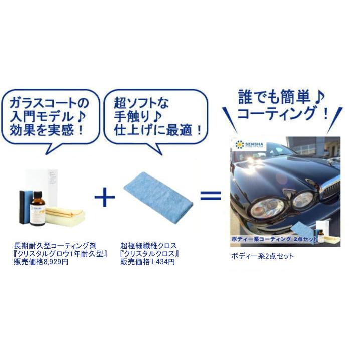 最安値 ボディー系コーティング2点セット ガラスコーティング剤 プロ仕様 ガラスコート剤 ガラス系コーティング剤 ガラス系コート剤 洗車用品 Dprd Jatimprov Go Id