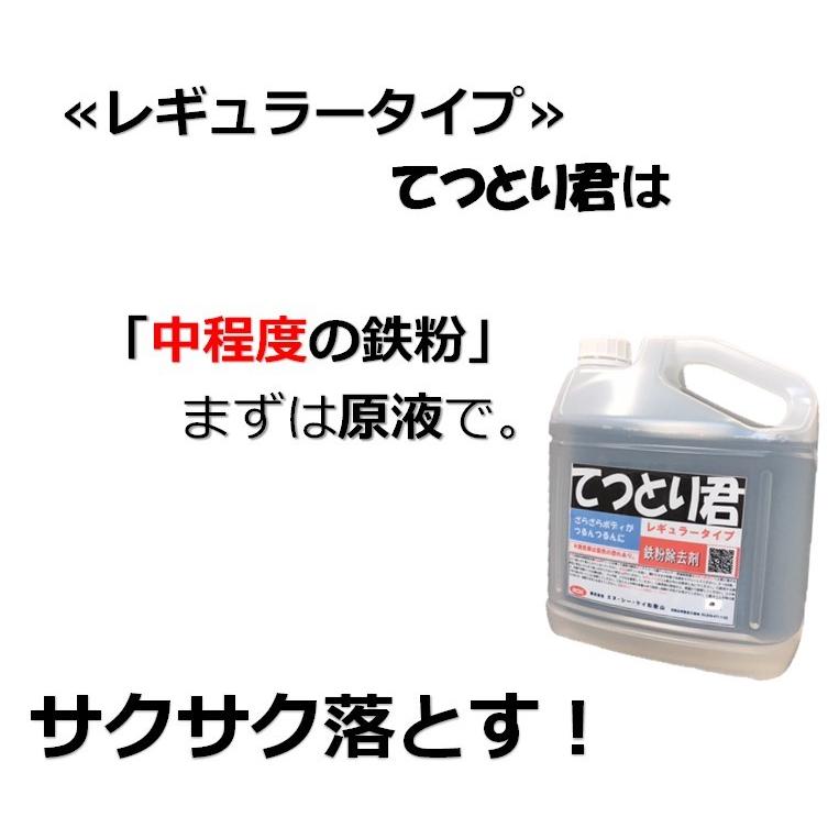 鉄粉除去剤 鉄粉取り 4L 融雪剤 業務用 特典 てつとり君 4L レギュラータイプ〈5点セット〉 :tetsutori-a-01:洗車洗剤屋さん - 通販 - Yahoo!ショッピング 鉄粉除去剤 鉄粉取り 4L 融雪剤 業務用 特典 てつとり君 4L レギュラータイプ〈5点セット〉 :tetsutori-a-01:洗車洗剤屋さん - 通販 - Yahoo!ショッピング