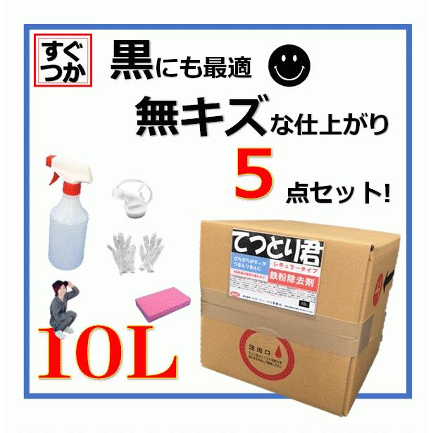 鉄粉除去剤 鉄粉取り 融雪剤 10L ５点セット 業務用 特典 てつとり君 レギュラータイプ｜sensyasenzaiyasan