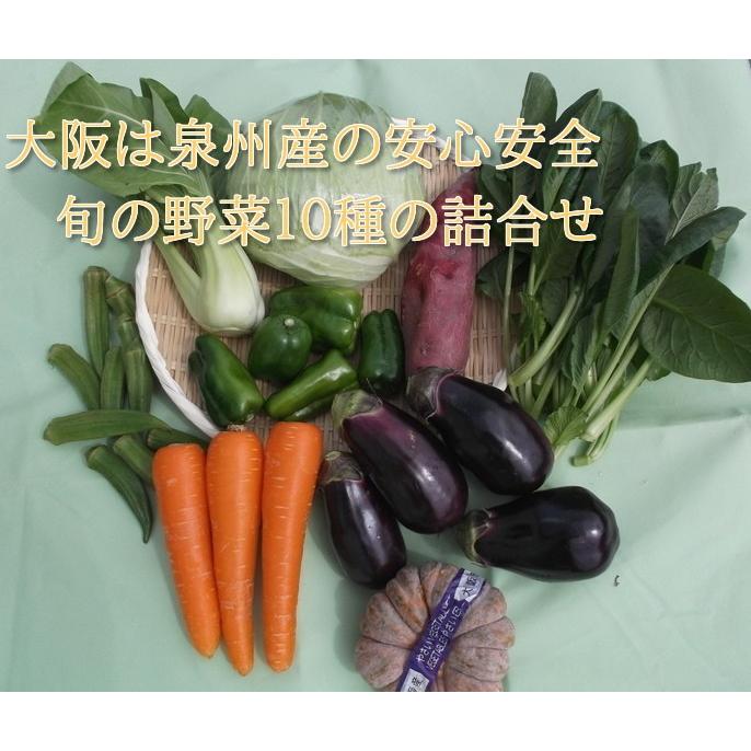 ブランド品大阪泉州の新鮮野菜１０点セット　送料無料