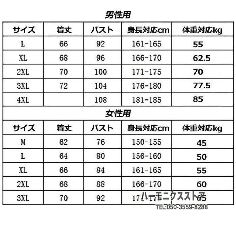 251円 福袋 セリエa リーグパッチ ワッペン