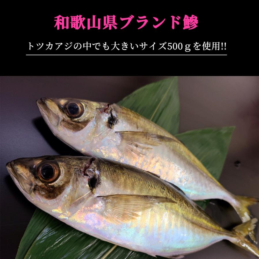 和歌山県産 活あじ アジ 鯵 急速冷凍 送料無料 Aji 01 さかなのきもち 通販 Yahoo ショッピング