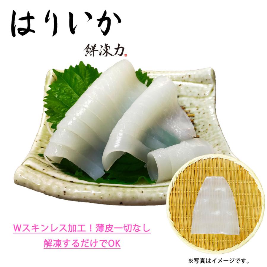 鮮凍力 はりいか 和歌山県産 ハリイカ いか イカ お刺身 急速冷凍 送料無料 Sale 96 Off