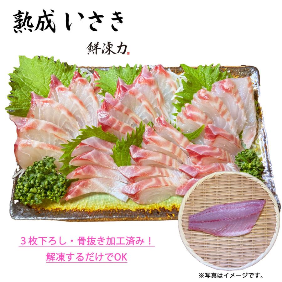 鮮凍力 熟成いさき 和歌山県産 イサキ お刺身 急速冷凍 送料無料 Isaki 01 さかなのきもち 通販 Yahoo ショッピング