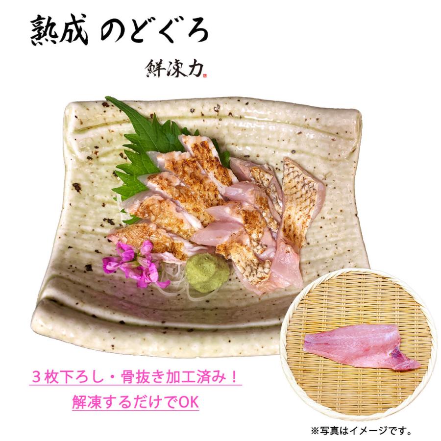 鮮凍力 熟成のどぐろ 長崎県産 ノドグロ お刺身 急速冷凍 送料無料 Nodoguro 01 さかなのきもち 通販 Yahoo ショッピング