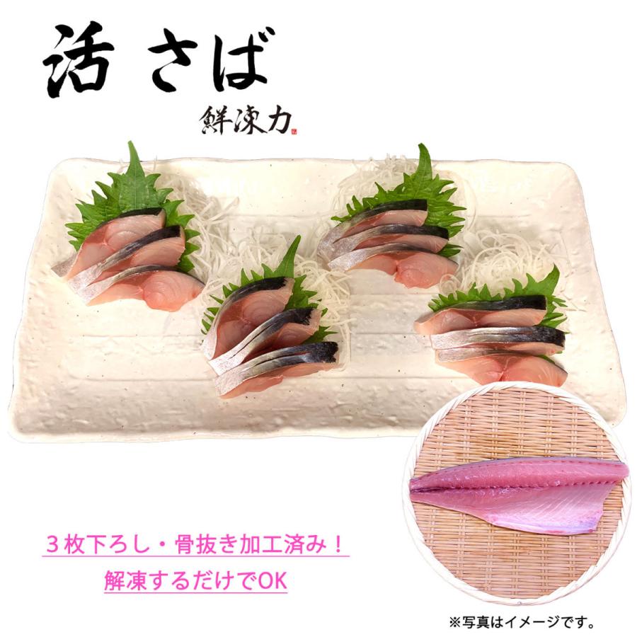 鮮凍力 活さば 和歌山県産 サバ 鯖 お刺身 急速冷凍 送料無料 Saba 01 さかなのきもち 通販 Yahoo ショッピング