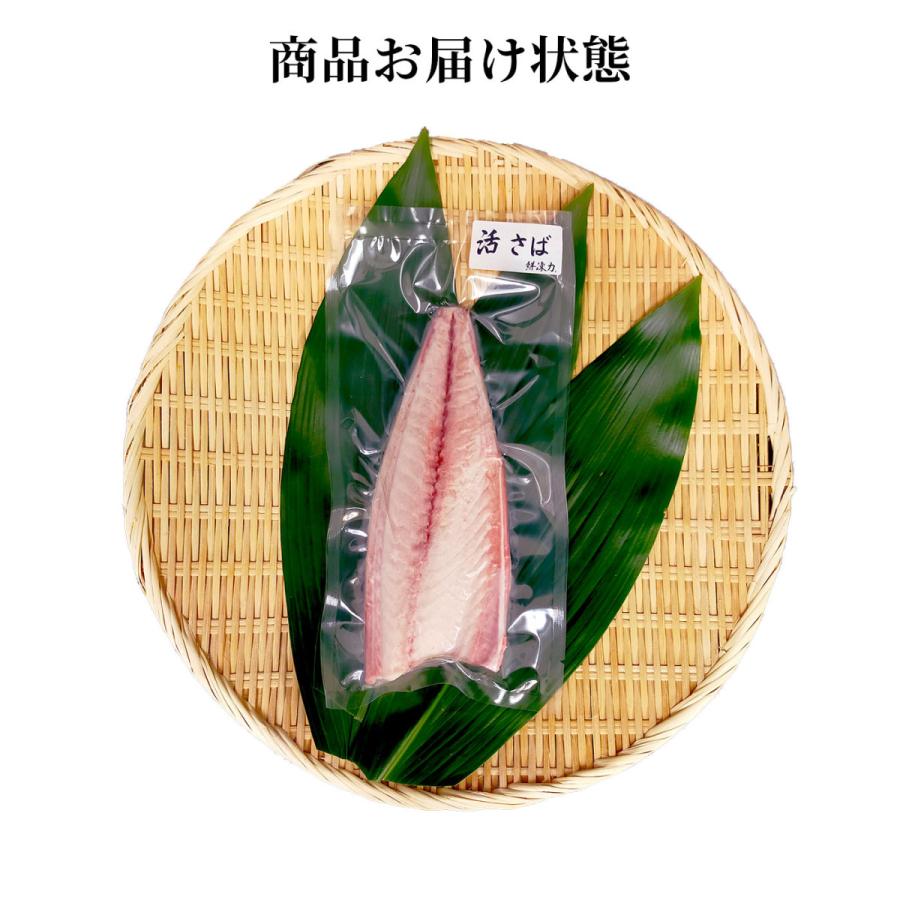 現品 お刺身用 山陰の真サバ フィレ 冷凍 片身または１尾分 140 179ｇ 山陰産 解凍して切るだけで生サバのお刺身が食べられます さば サバ さしみ Materialworldblog Com