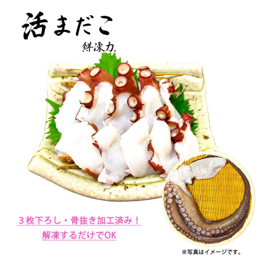 鮮凍力 活まだこ 兵庫県産 たこ 蛸 お刺身 生 急速冷凍 送料無料 男性に人気