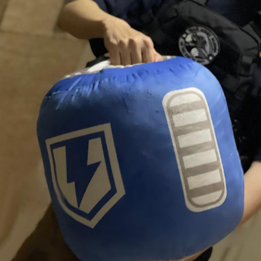 Apex Legends シールドセル ぬいぐるみ 抱き枕 グッズ プレゼント クリスマスプレゼント ギフト 室内装飾 抱き枕 部屋装飾 アニメ グッズ Ly0225 五次元ポケット 通販 Yahoo ショッピング