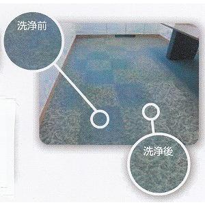 タイルカーペット洗浄機 パイルリセッター