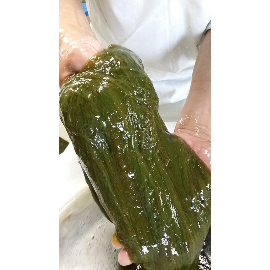 もずく モズク 天然絹もづくの詰め合わせセット 仙崎海産 冷蔵 : 仙崎