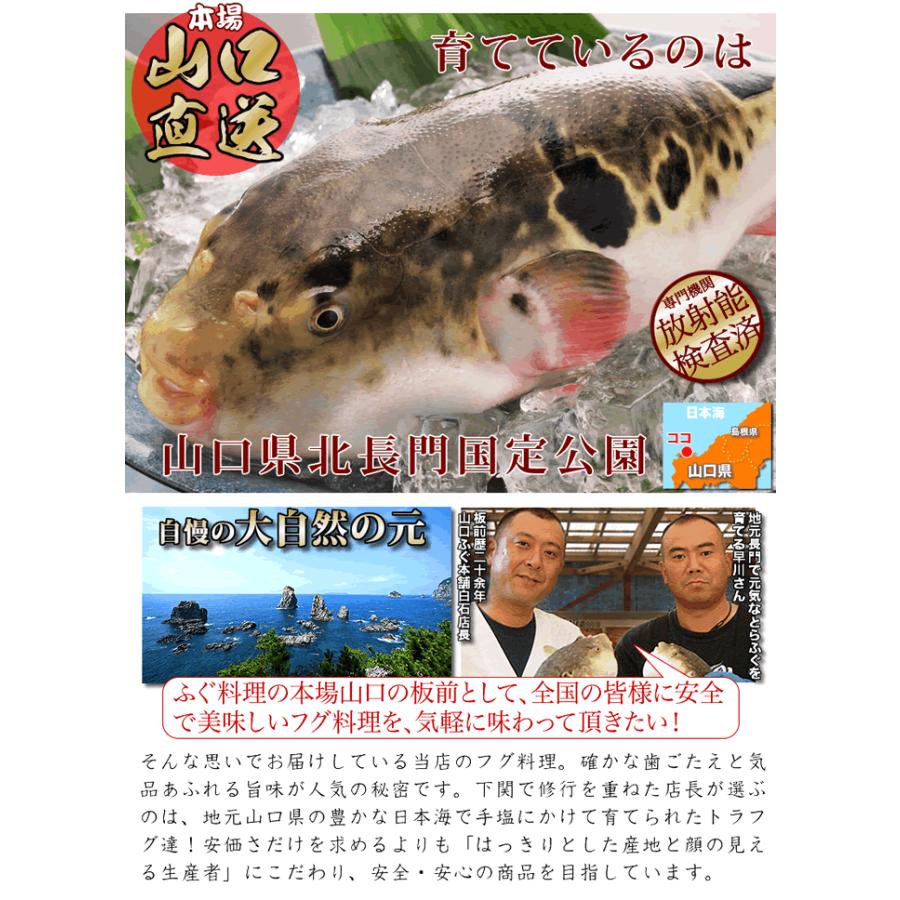 下関で修業した板前が調理する山口県産とらふぐ刺身鍋セット Reito Course6 ふぐ フグ とらふぐ刺しフグチリ ふぐ刺身ふぐ鍋セット5 6人前 超冷 元気いただきますプロジェクト 水産物 通販 Yahoo ショッピング