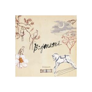 BIGMAMA CDセット BIG MAMA / Blossom｜韓国 K-POP CD｜5212DP035 : 創業23周年 韓国音楽