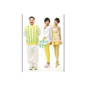 希少盤］TURTLES(コブギ) / 体をほぐす｜韓国 K-POP CD｜5212DP037