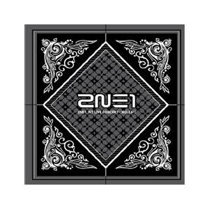2NE1 / 2011 1ST LIVE CONCERT ALBUM［NOLZA］［コンサートフォト 