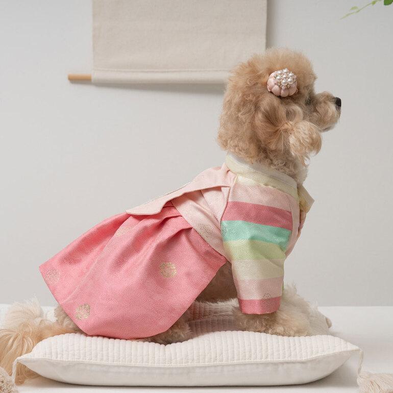 ワンコも韓国気分 伝統的なセットン柄の韓服(2カラー選択)(Bailey pet