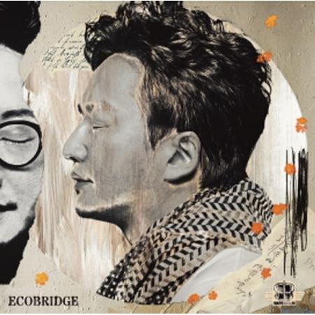 ECO BRIDGE / COMPILATION(180g ブラック盤)(LPレコード盤) | 