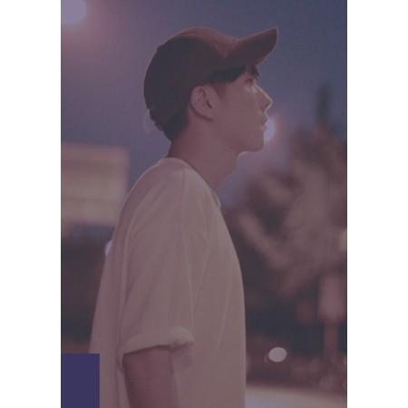 WILCOX / LE GRAND THE BLEU［韓国 CD］｜seoul4