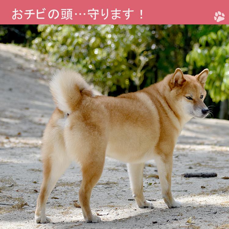 当店オリジナルお祝いラベル無料 柴犬 ベビーヘッドガード クッション ごっつん防止 リュック 柴犬 いぬ かわいい 初節句のプレゼントに 贈り物 洗える z 13 Sept Zero Yahoo 店 通販 Yahoo ショッピング