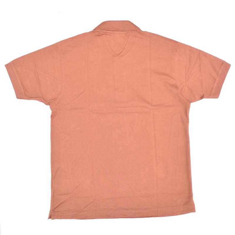 FRANCE LACOSTE(直輸入フランスラコステ) #L1212 S/S PIQUE POLOSHIRTS(半袖 鹿の子 ポロシャツ) MARRON CLAIR(I1K)_4