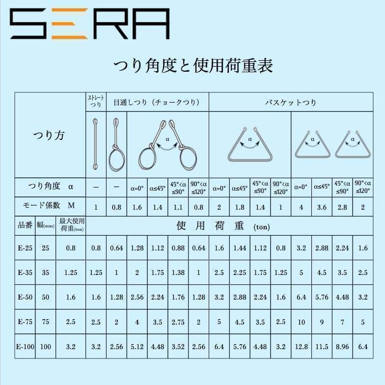 楽天カード分割 10本セット Sera 星良 スリングベルト 幅100mm 長さ5m 使用荷重30kg 日本語説明書付 E 100 お歳暮 Www Thedailyspud Com