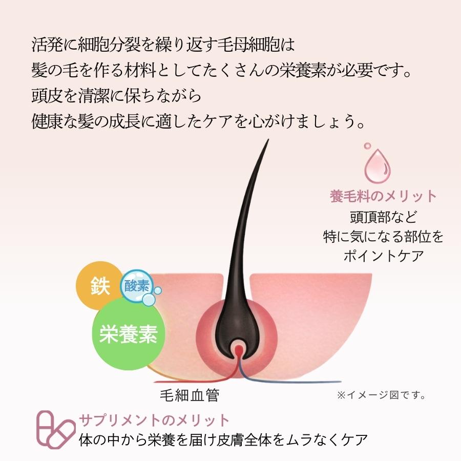 Ogshi おぐし 毛髪サプリメント 90カプセル : セラフィーネット Yahoo
