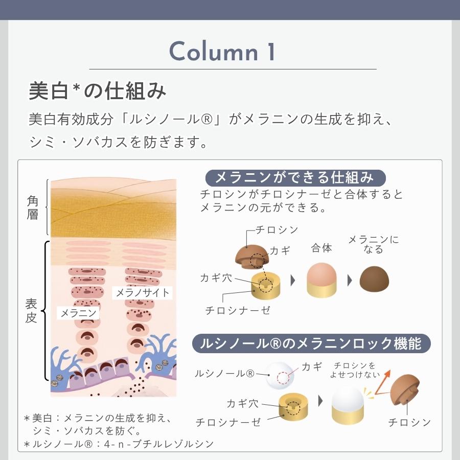 POLA（ポーラ） ダイヴ ブライトセラム 100mL 美容液 ダイブ Dive
