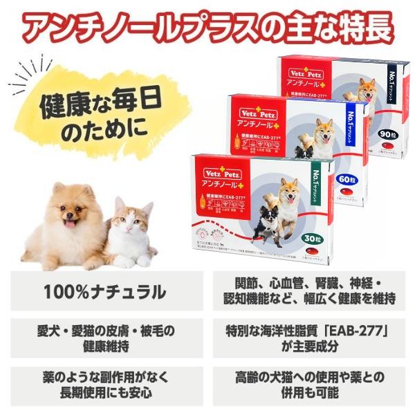アンチノール プラス猫用（30粒入）※犬用として使用可 アンチノール® プラス発売と価格改定のお知らせ – ベッツペッツ