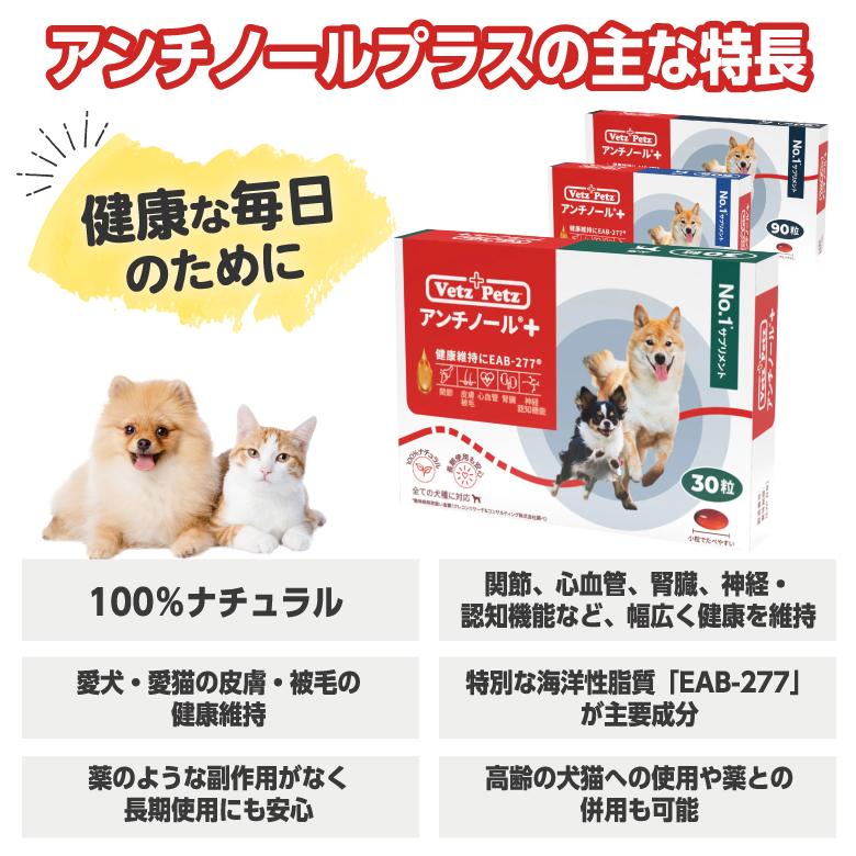 アンチノール プラス 犬用サプリメント 60粒 2個セット : セラフィー