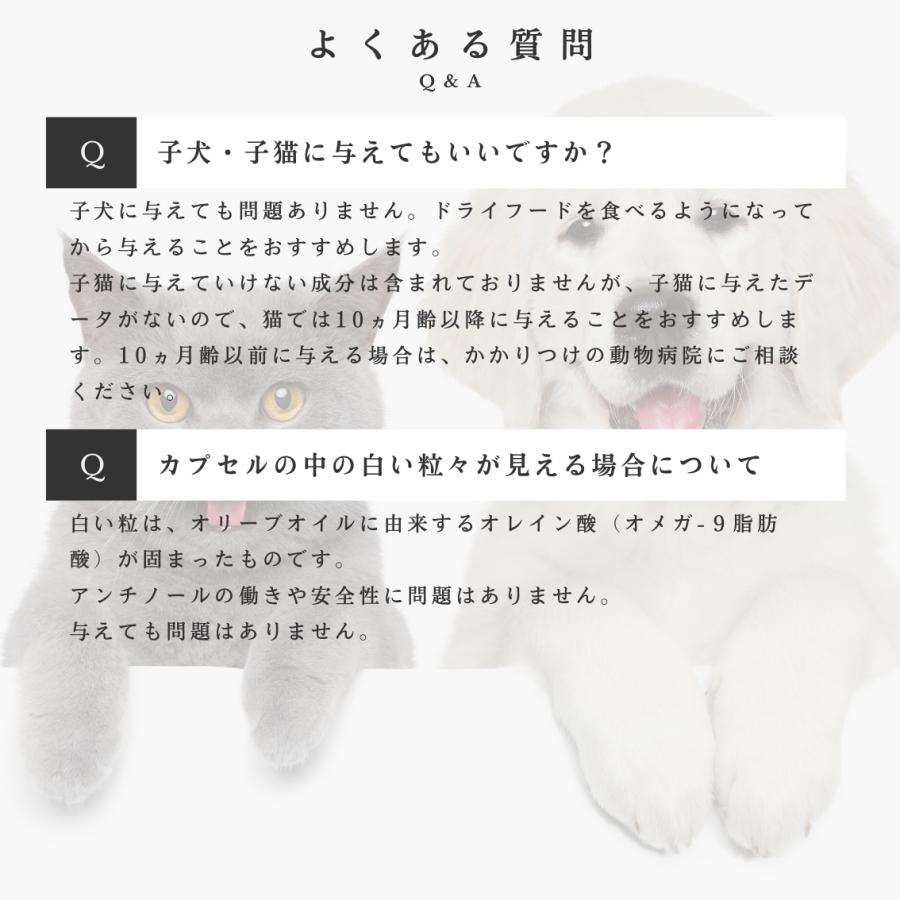 アンチノール プラス 犬用サプリメント 60粒 3個セット : セラフィー