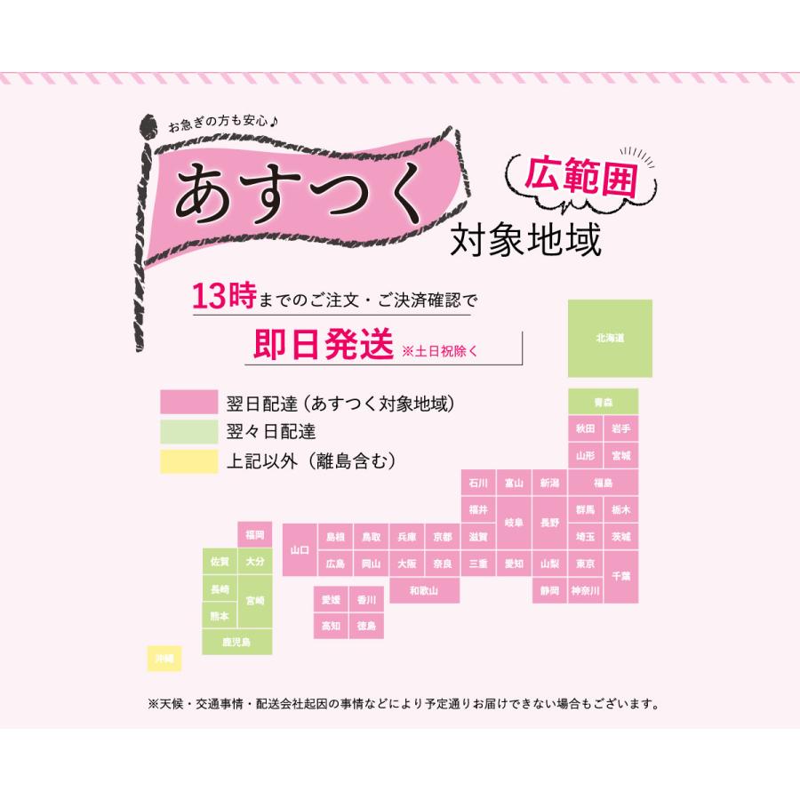 アンチノール プラス 犬用サプリメント 60粒 3個セット : セラフィー