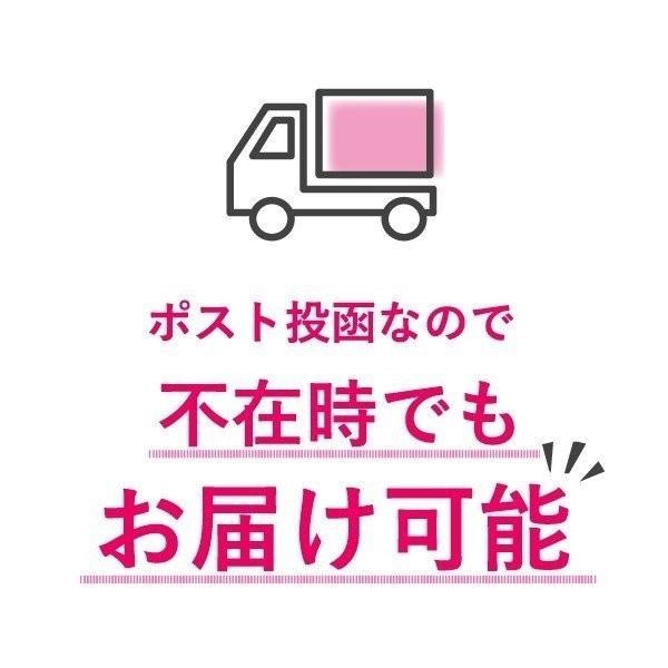 アンチノール プラス 犬用サプリメント 60粒 3個セット : セラフィー