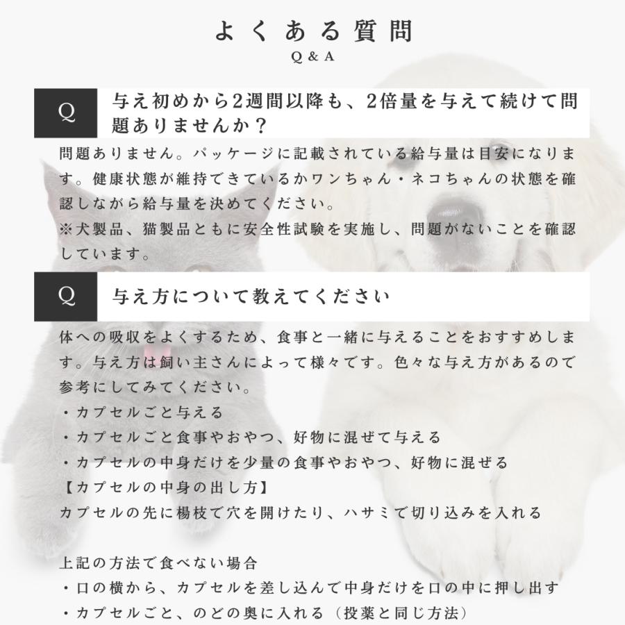 アンチノール プラス 猫用サプリメント 60粒 | ブランド登録なし | 10