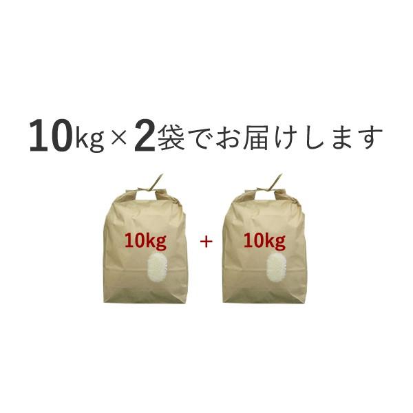 新米 令和5年産 重永農産 ヒメノモチ 20kg(10kg×2) 送料無料 受注精米 広島県産 ひめのもち 精米 もち米 単一原料米 米 お米 国産｜seramai｜02