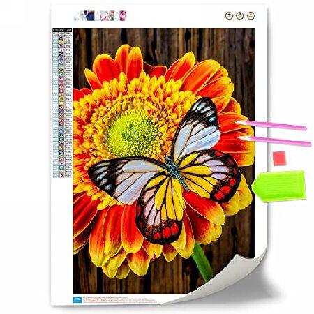 Butterfly Rose Diamond Painting Kits for Adults, Flower DIY 5D