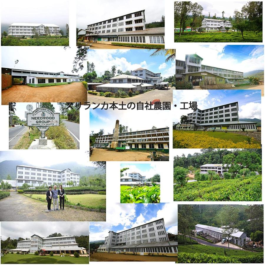 紅茶 お中元 ティーギフト 茶葉 ミニ缶3缶入り アールグレー セイロンブレークファースト セレンディピティー スリランカ紅茶局認定ブランド Az Tea Mini3 Earlgrey Ceylonbreakfast Serendipity Gift Serendiva The Tea Boutique 通販 Yahoo ショッピング